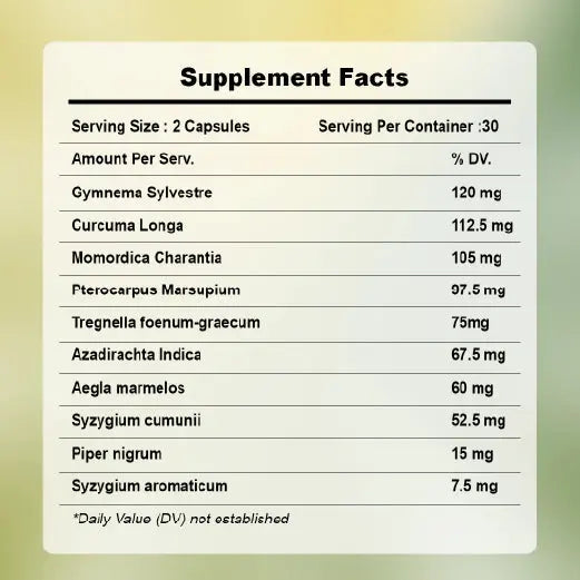 Insulux - Advanced Ayurvedic Formula for Blood Sugar Control Healthy Nutrition Insulux