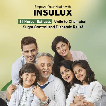 Insulux - Advanced Ayurvedic Formula for Blood Sugar Control Healthy Nutrition Insulux
